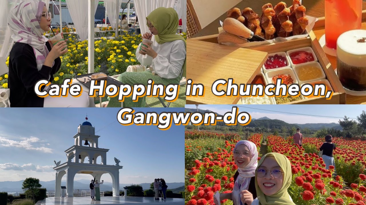 Cafe Hopping in Chuncheon, Gangwon-do | Little Santorini, Flower Garden, Potato Bread, Corn Tart