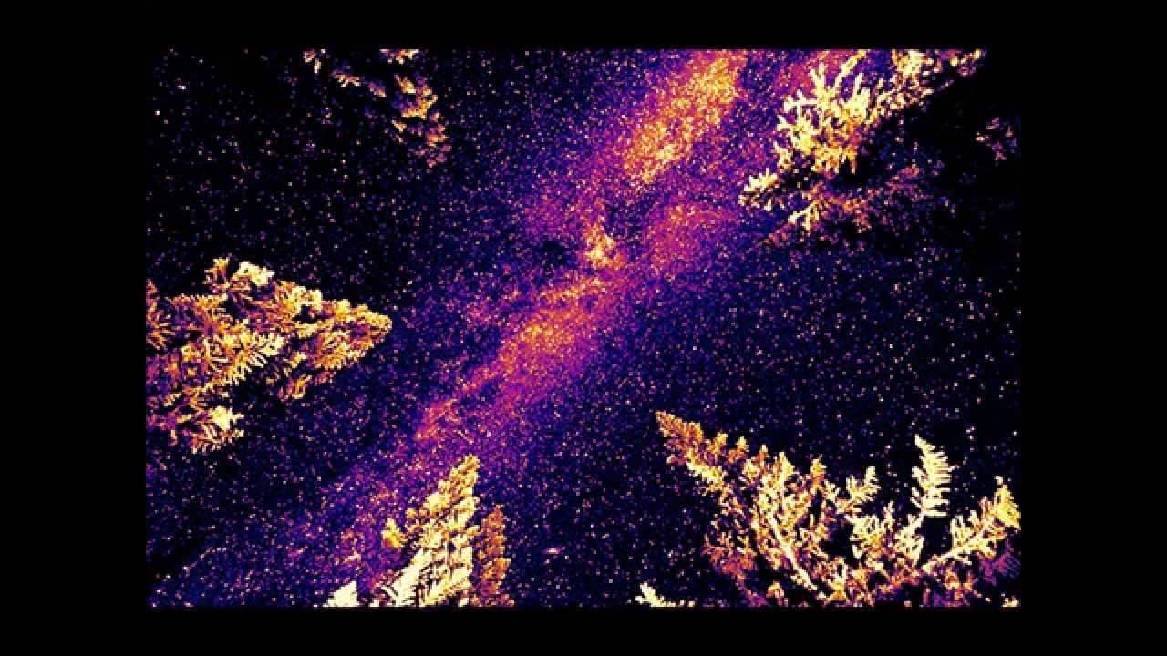 Monstrum Sepsis &lrm;&ndash;  Glimpse