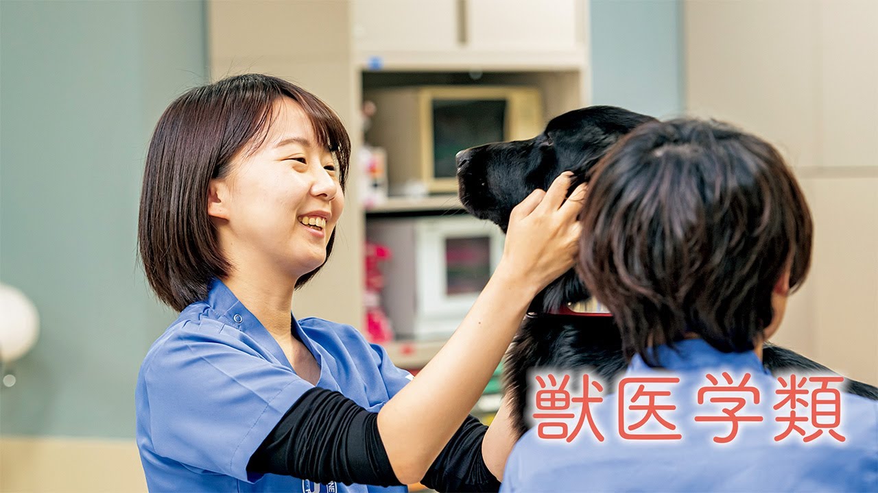 酪農学園大学　獣医学類　｜　学類紹介