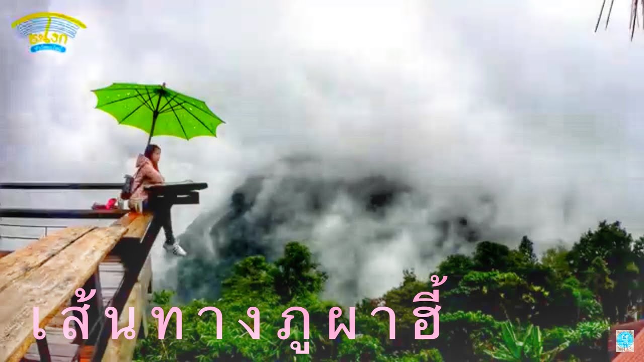 รีวิวเส้นทางขึ้นดอยตุง ขึ้นดอยช้างมูบ ทางไปร้านกาแฟภูผาฮี้ The route to Doi Tung, Doi Pha Hee