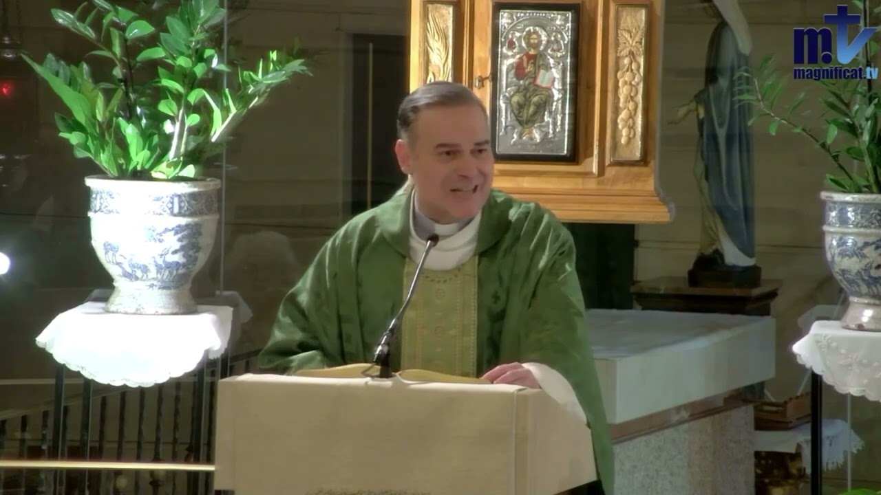 Homilía│Domingo, VI semana del Tiempo Ordinario 15.02.2026│ Pbro. Javier Martín FM│www.magnificat.tv