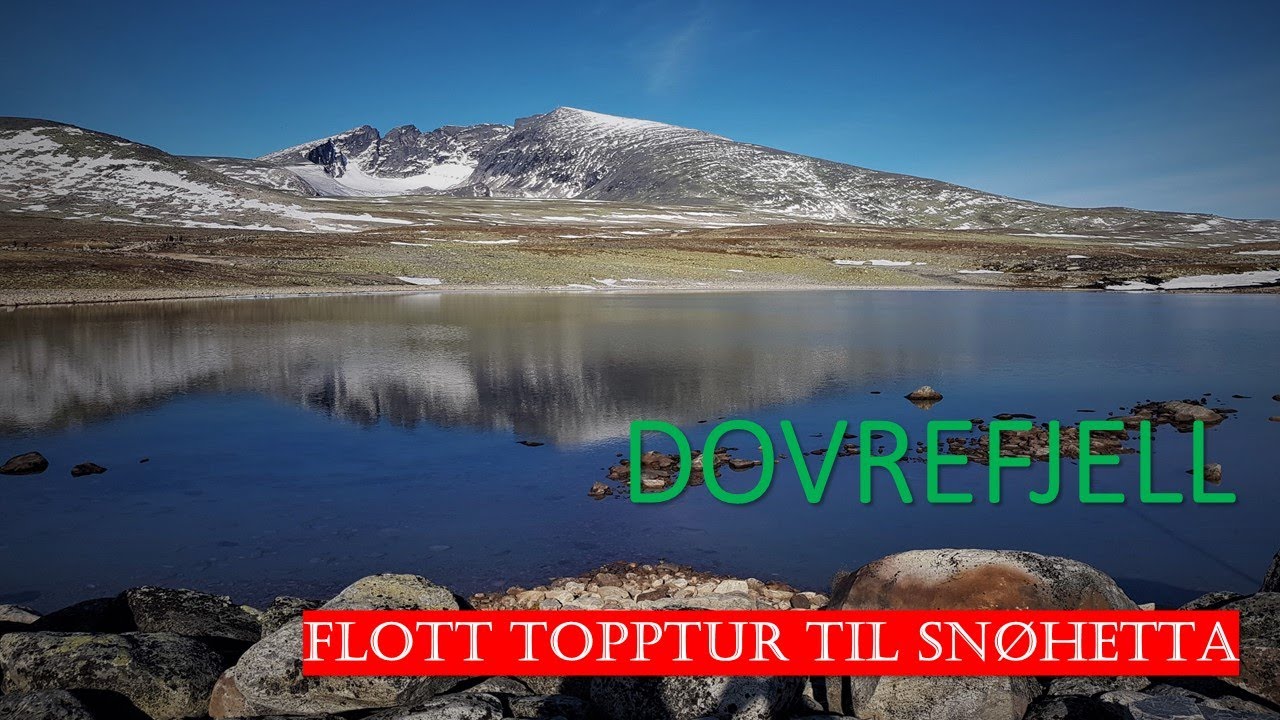#Hiking Norway - Dovrefjell & Sn&oslash;hetta 2019 - topptur