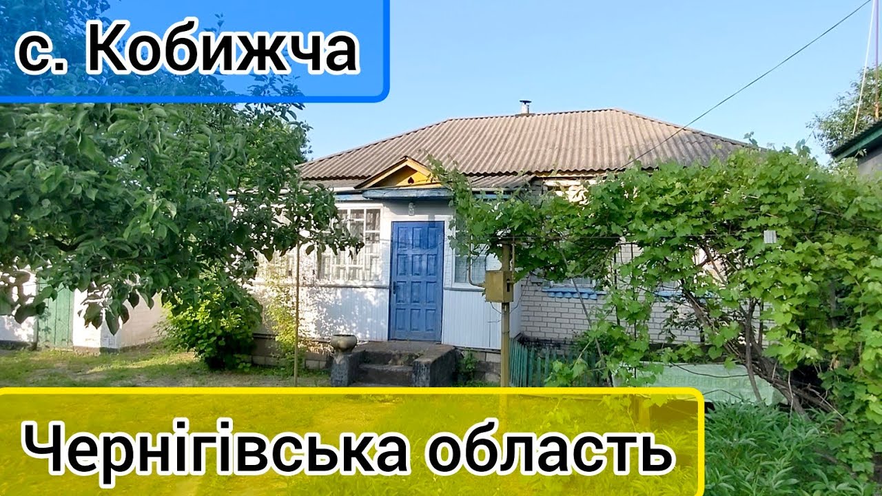 Огляд будинку в селі Кобижча, Чернігівська область. Продаж