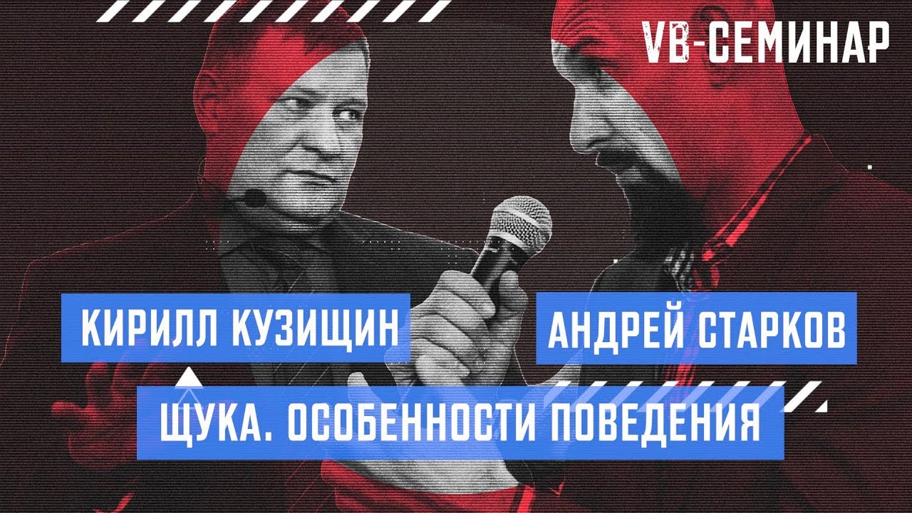 Кирилл Кузищин - Щука. Особенности поведения