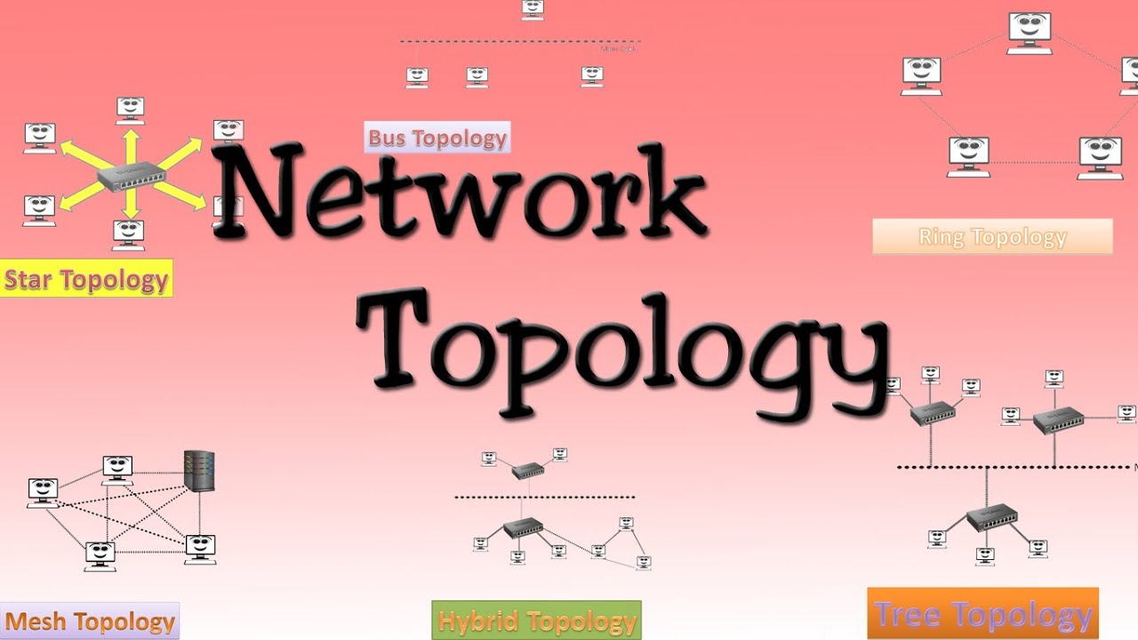 Network topologies ( Bus, Star, Ring, Mess, Tree, Hybrid Topologies )