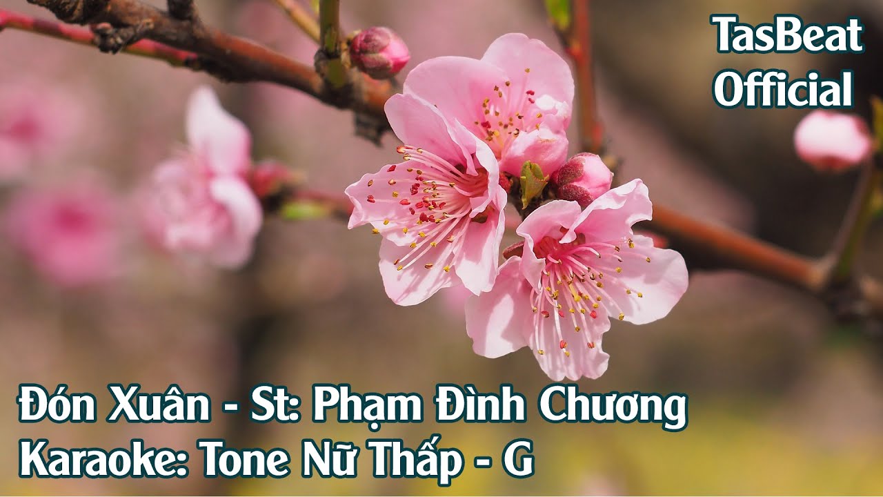 Karaoke Đón Xuân - Tone Nữ Thấp | TAS BEAT