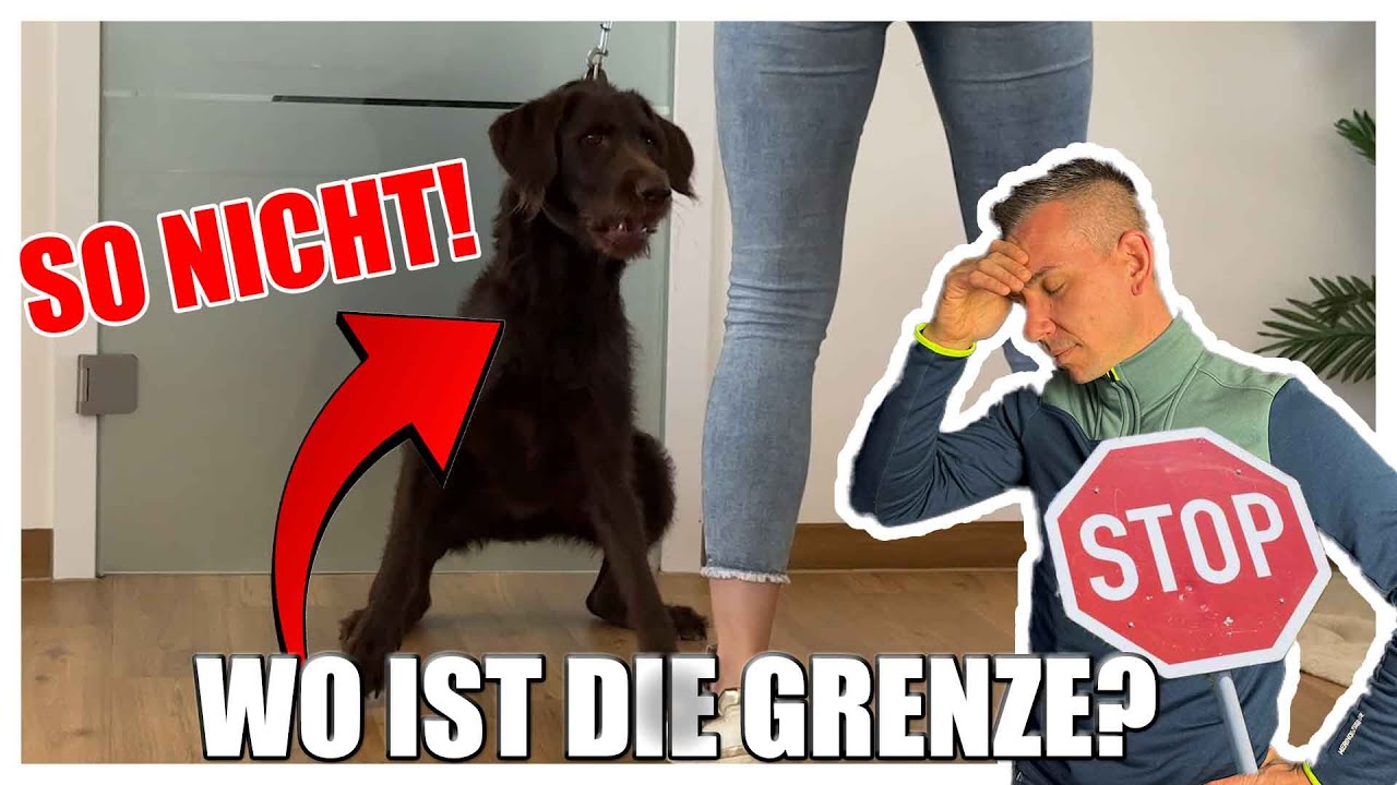 DU MUSST DEUTLICH EINE GRENZE SETZEN!