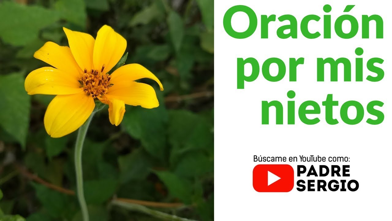 Oración por mis nietos