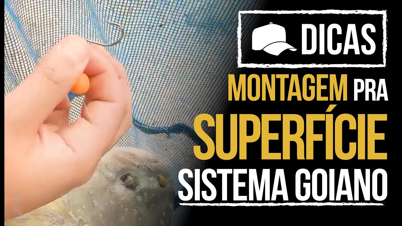 DICAS #170 - SISTEMA PROS TAMBAS NA SUPERFÍCIE (SISTEMA GOIANO)