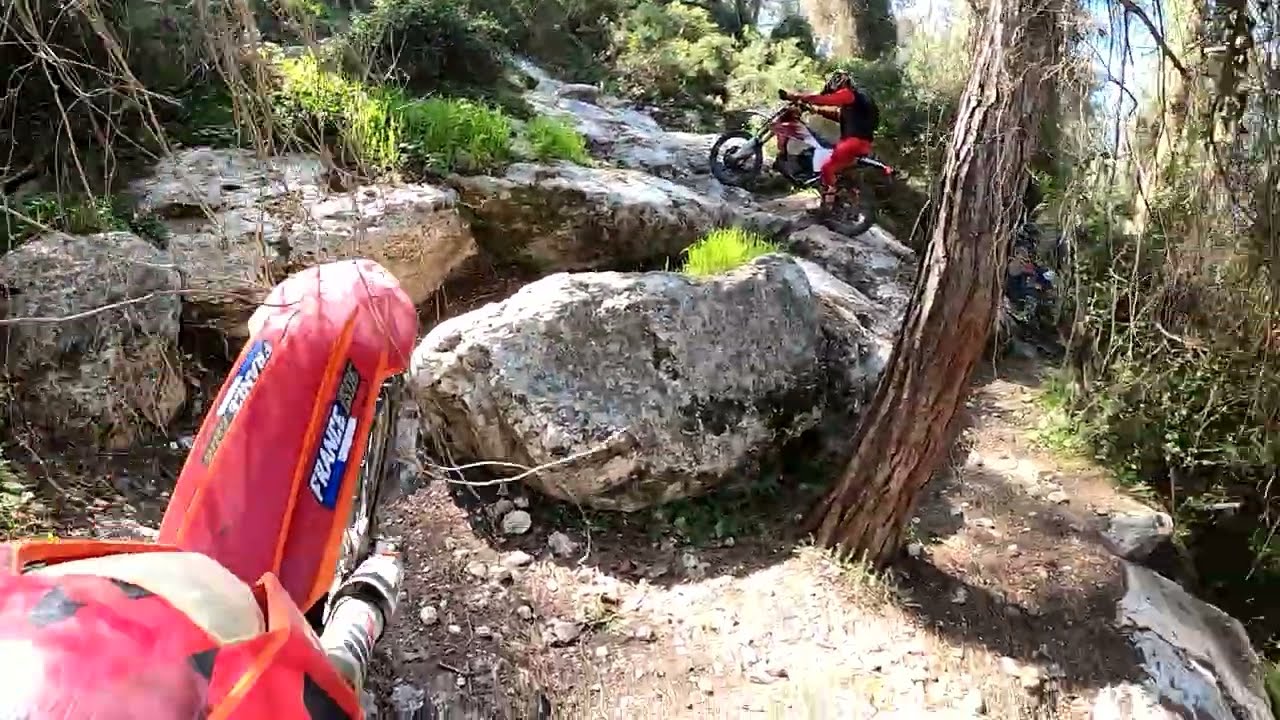 לטרון תרום עם ארוחת הבוקר 