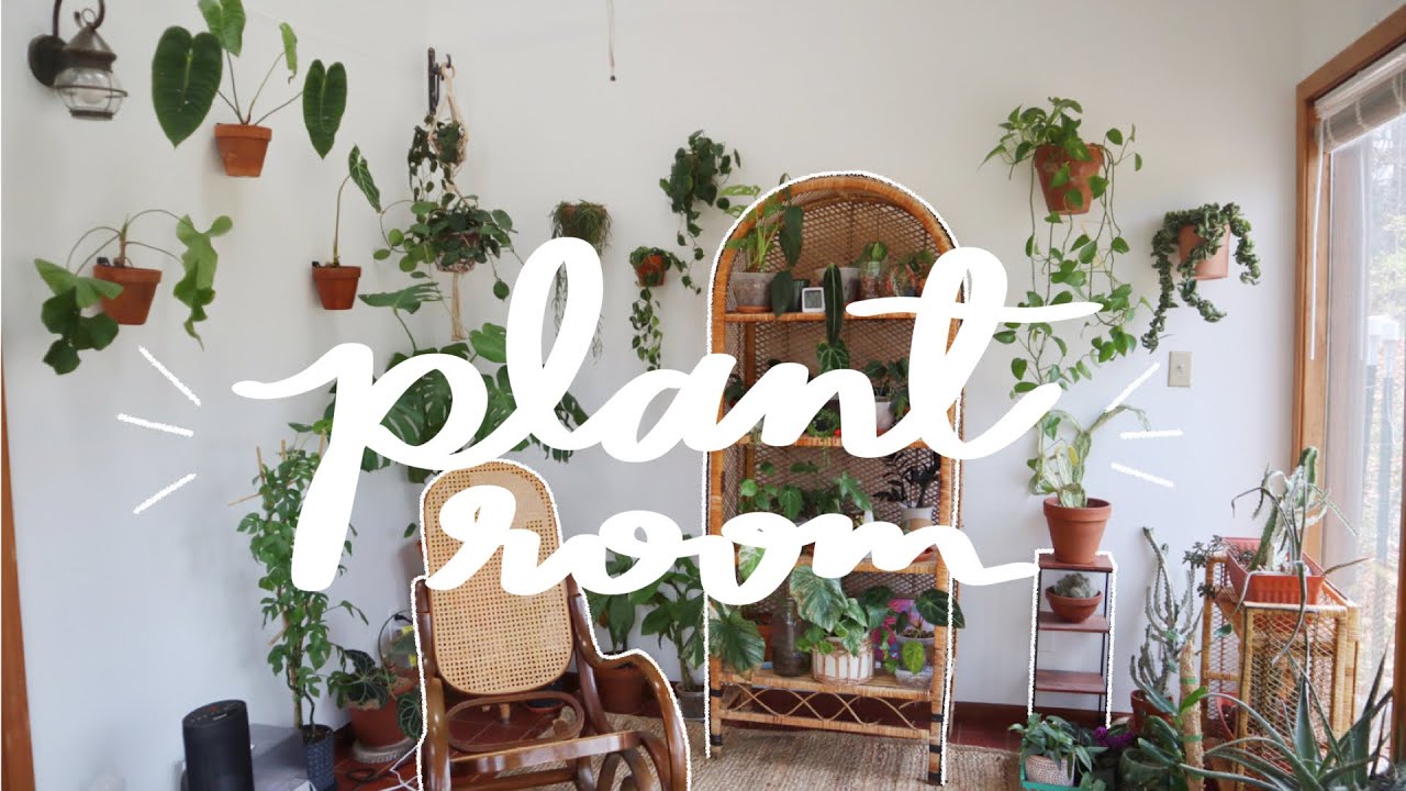Creating an Epic Plant Room | sunroom transformation 🌞 🌿