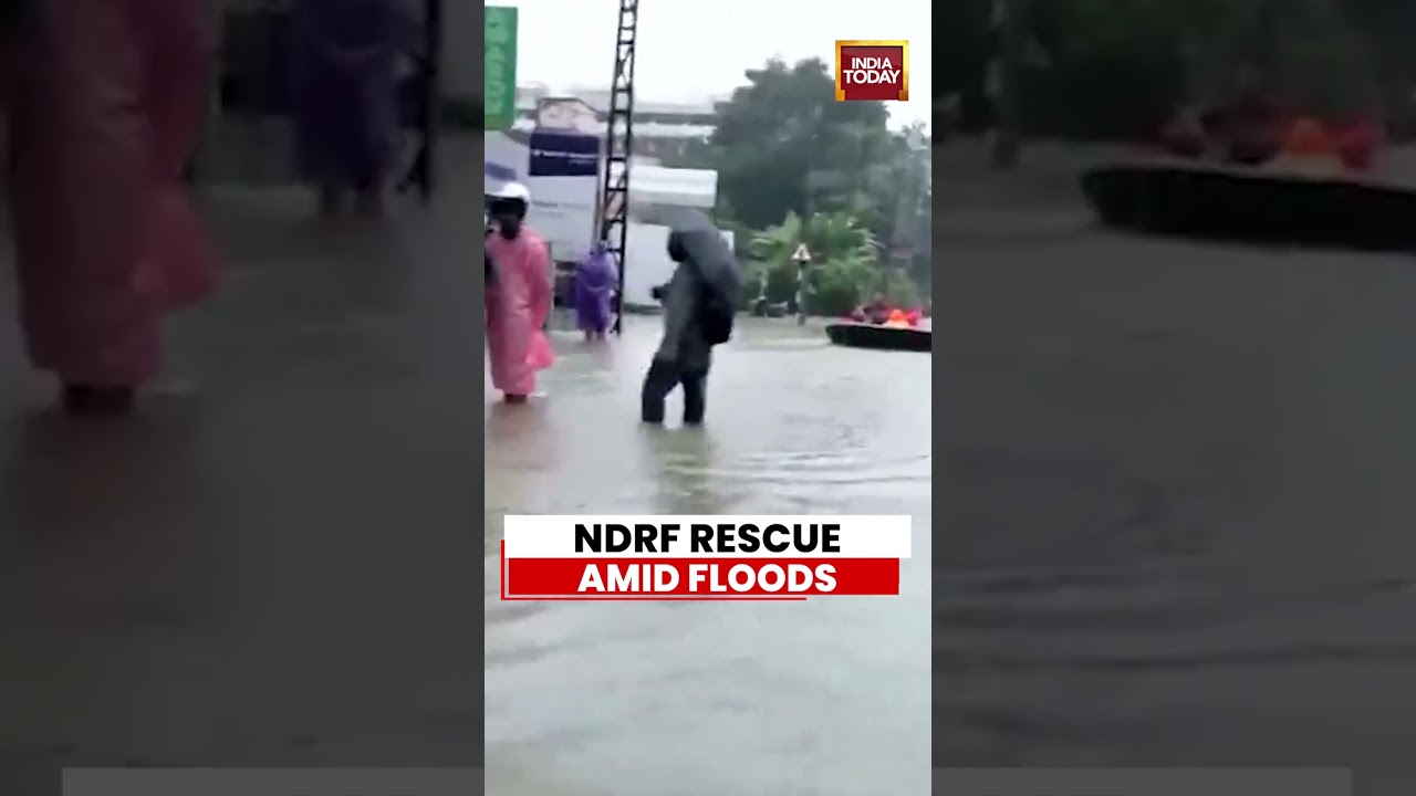 NDRF Conducts Rescue Operations As Kerala Floods Trigger Waterlogging In Pathanamthitta #kerala