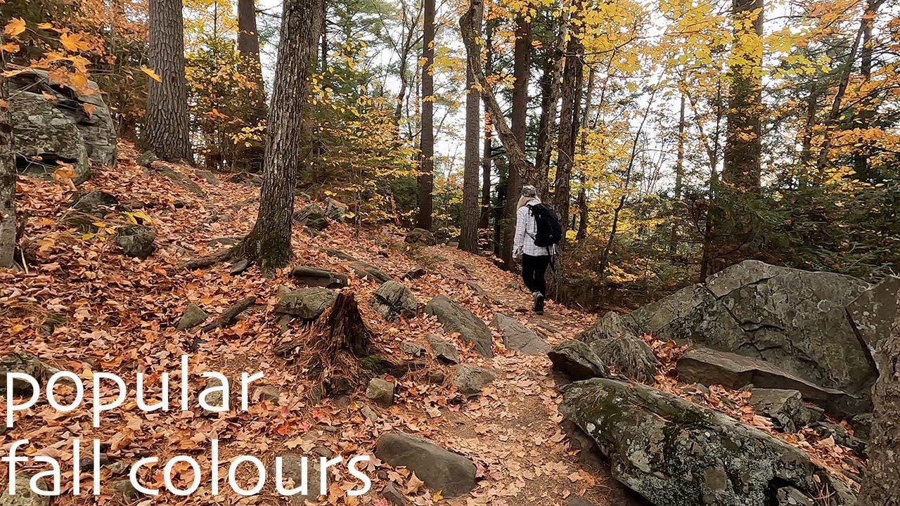 Algonquin Provincial Park, Hardwood Lookout Trail