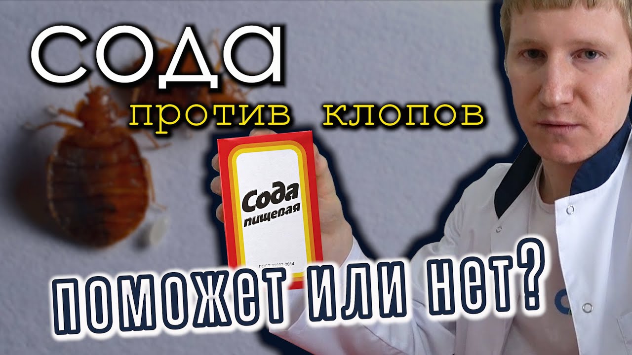 Помогает ли сода от клопов