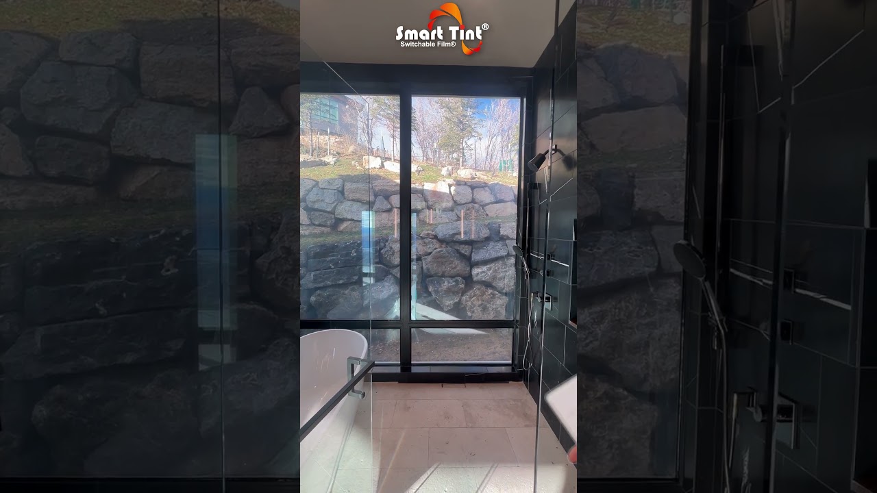 Dream Smart Tint Bathroom Spa