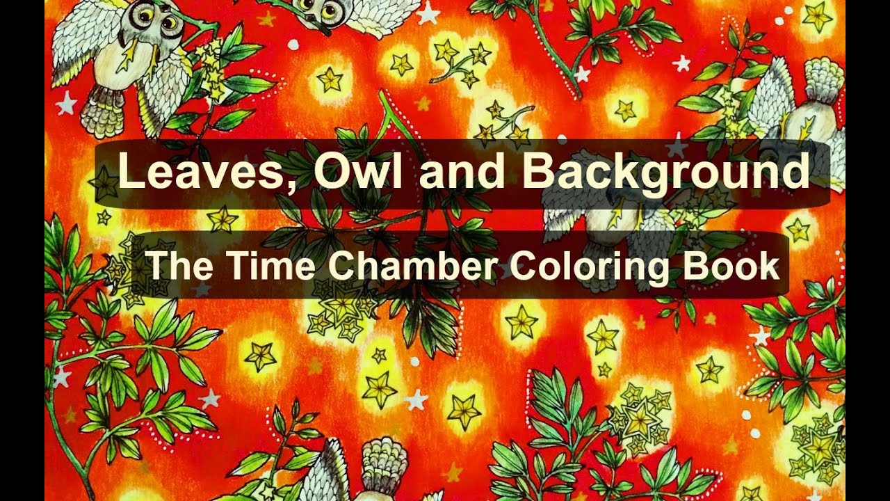 Adult Coloring Book: The Time Chamber | Leaves, Owl and Background