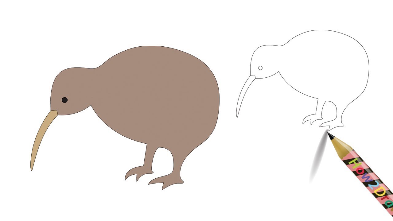 How to Draw a Kiwi Bird - Easy Drawing & Coloring