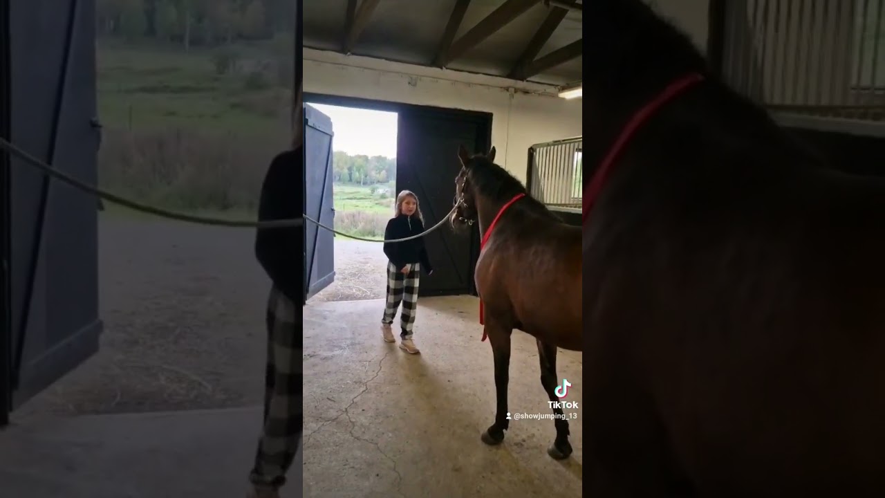 Välkommen Daisy                                        