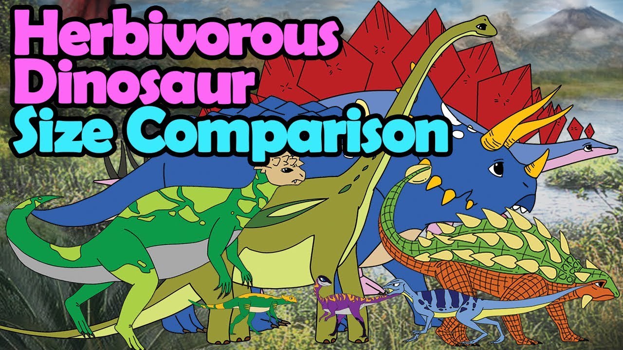 herbivorous dinosaur size comparison