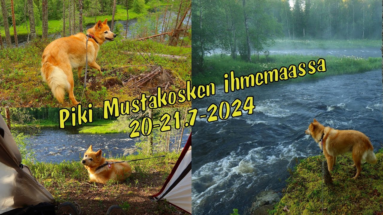 Piki Mustakosken ihmemaassa 20-21.7.2024