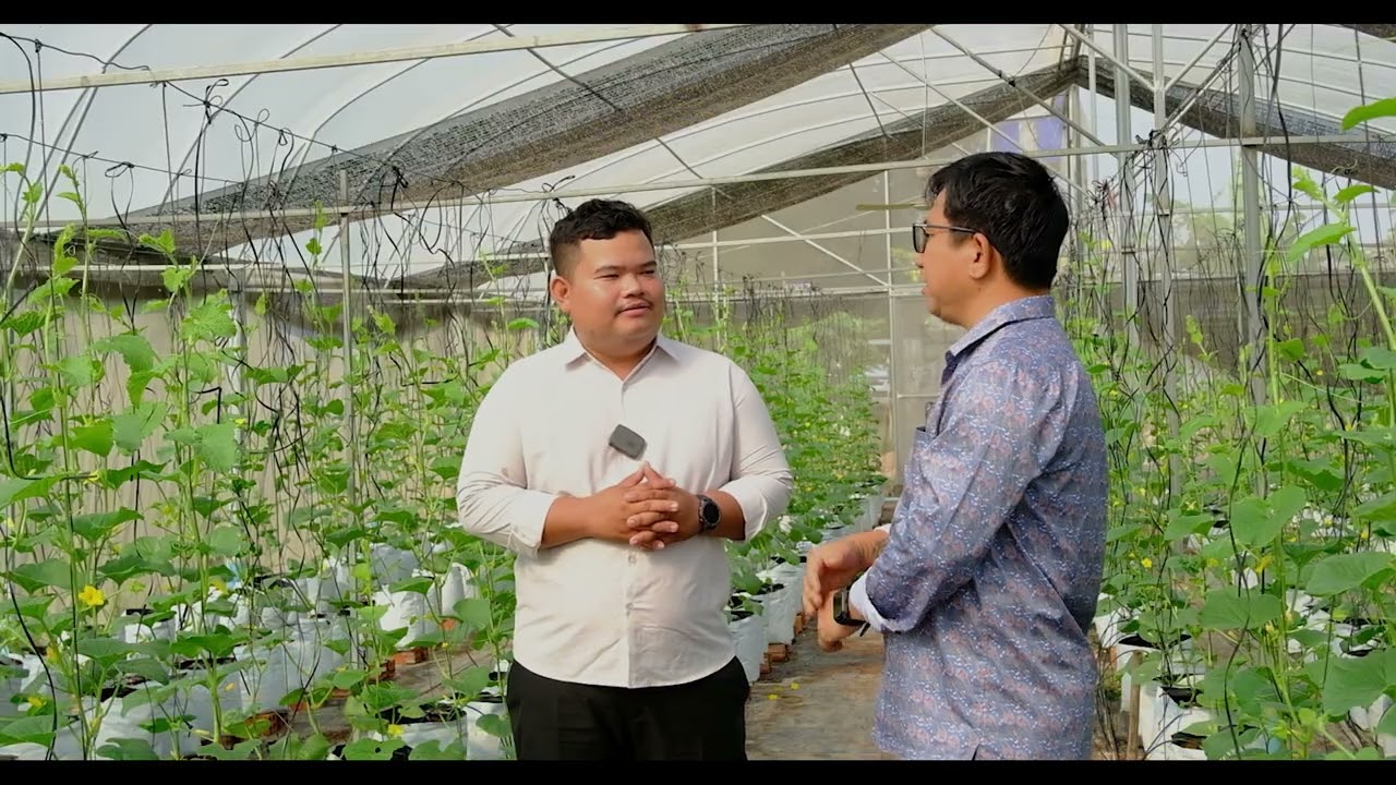 កសិករក្នុងខេត្តត្បូងឃ្មុំ ដាំតាសក់ផ្អែមMelon ក្នុងរោងសំណាញ់ អាចផ្គត់ផ្គង់ទៅកាន់ផ្សារទំនើបនានា......