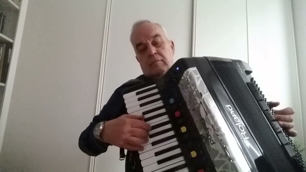 A Walk In The Black Forest