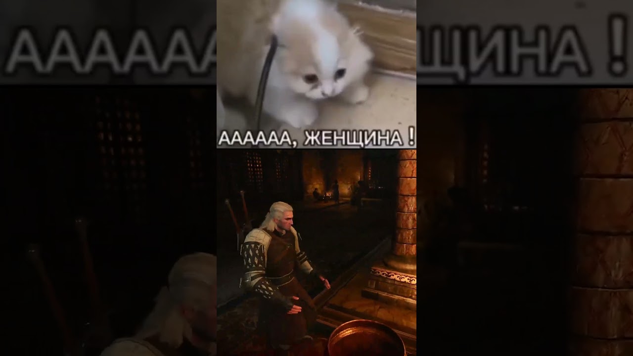 Тут везде женщины! | #shorts #thewitcher3 #erikasato