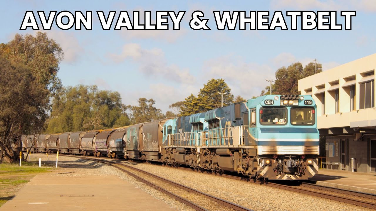 Trains through the Avon Valley & Wheatbelt