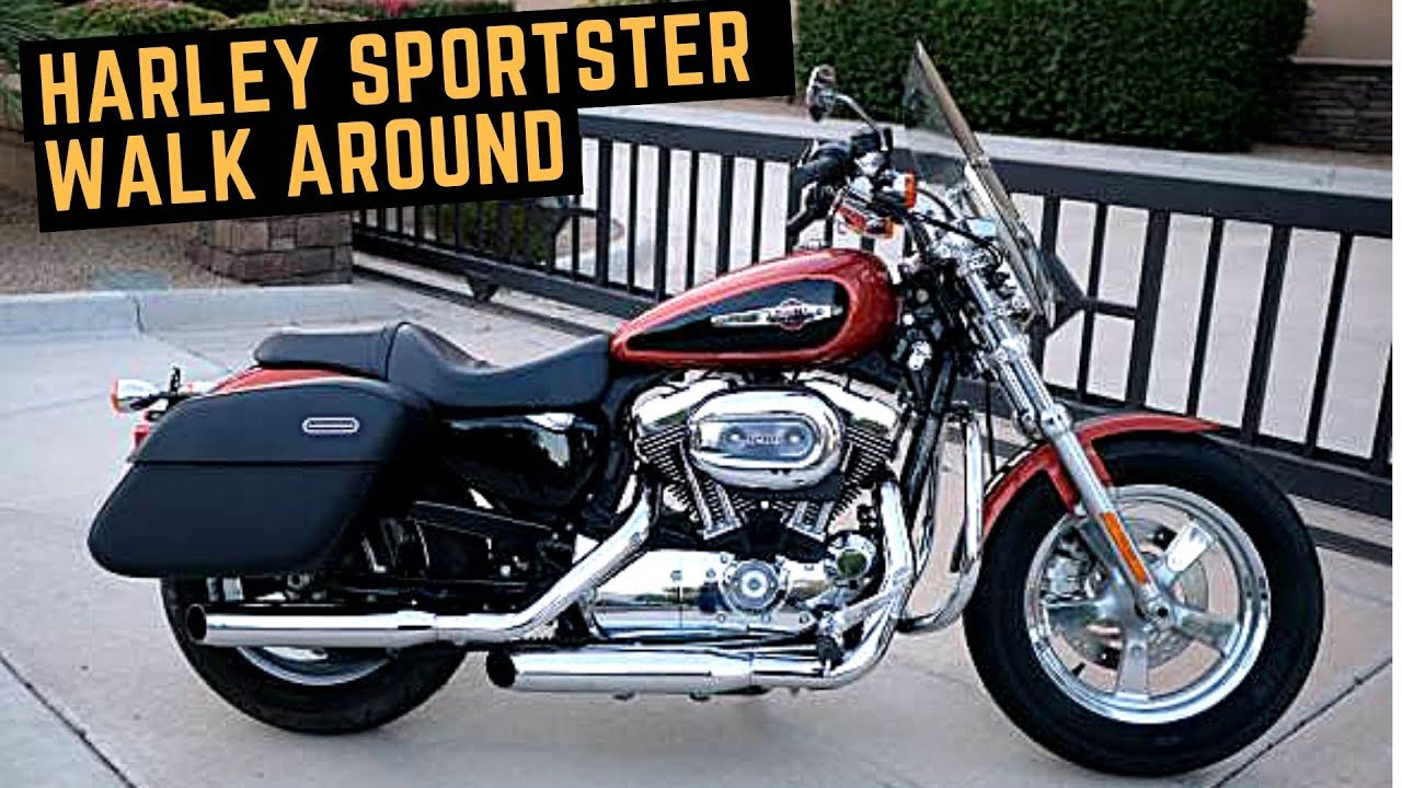 Harley Sportster 1200 Custom 2011 года: осмотр, холодный запуск, обзор, перепродажа мотоциклов ра...