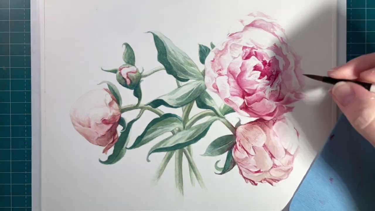 Week 5 of Painting Flora: Peony