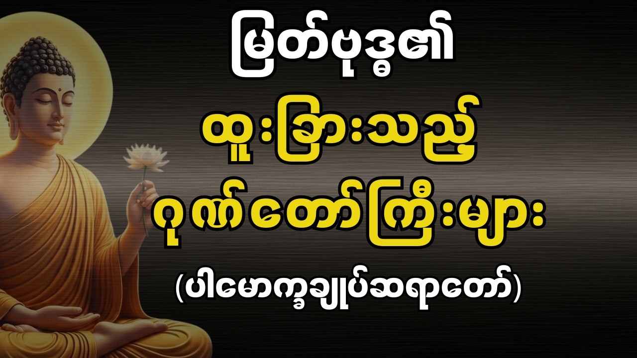 မြတ်စွာဘုရား၏ ကြည်ညိုဖွယ်ရာ ဂုဏ်အရည်အချင်းများ (ပါမောက္ခချုပ်ဆရာတော်)