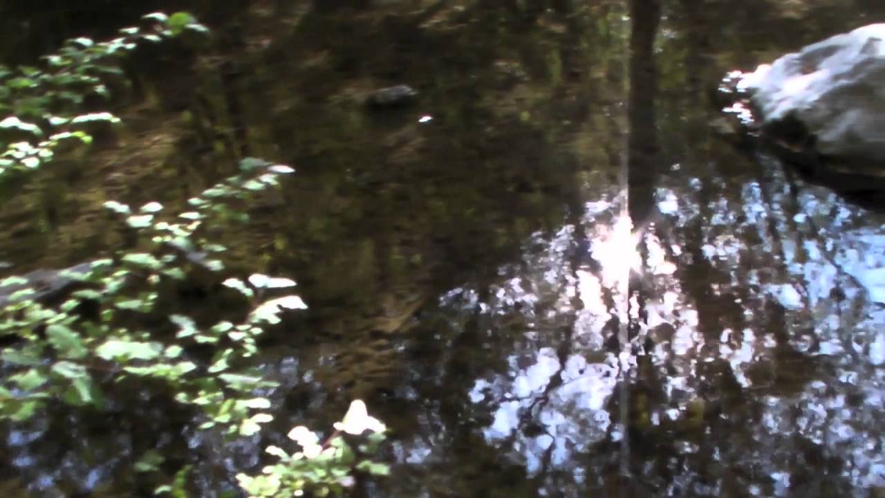C'era una volta ... la Val Rosandra