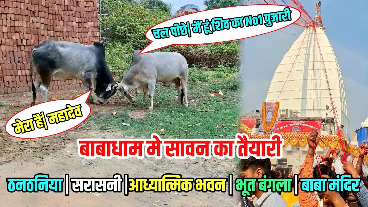 बाबाधाम मे सावन का तैयारी शुरू | Sultanganj To Deoghar Kawad Yatra 2025 | Kawariya Path New Update