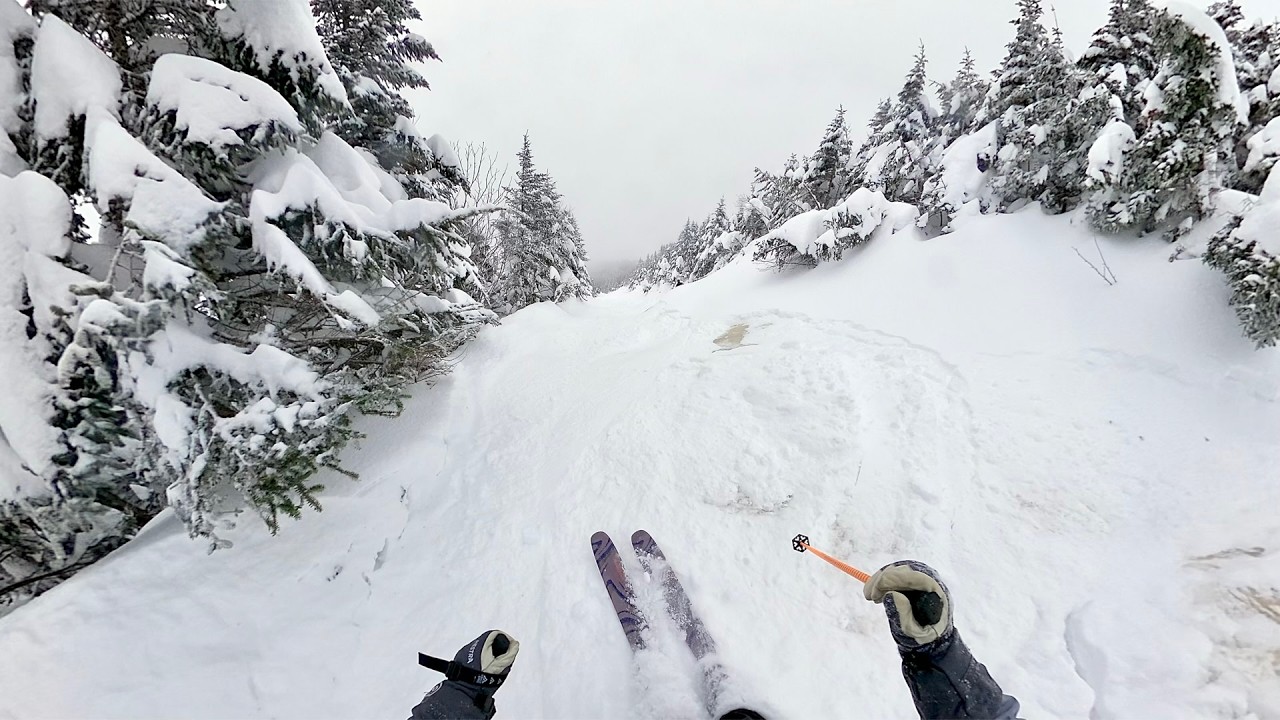 GOAT. POWDER. STOWE