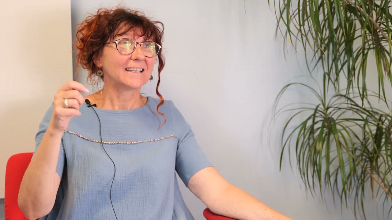 Capsule 1: l’insertion socio-professionnelle