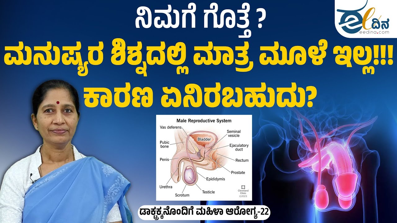 ಮನುಷ್ಯರ ಶಿಶ್ನದಲ್ಲಿ ಮಾತ್ರ ಮೂಳೆ ಇಲ್ಲ!!! ಕಾರಣ ಏನಿರಬಹುದು? Dr. H S Anupama | Men Health | Women Health
