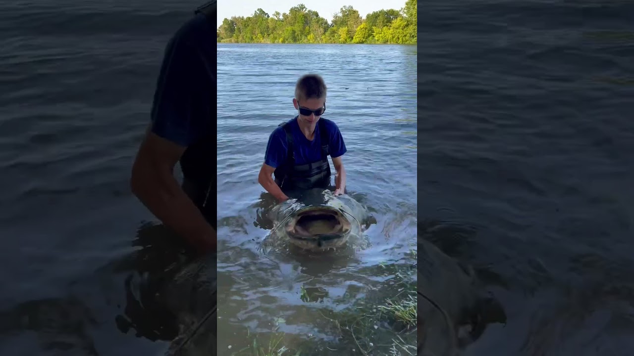 A votre avis quel taille ? Plus de 2m haha #p&ecirc;che #silure #bigsilure #bigcatfish #catfishing #cat