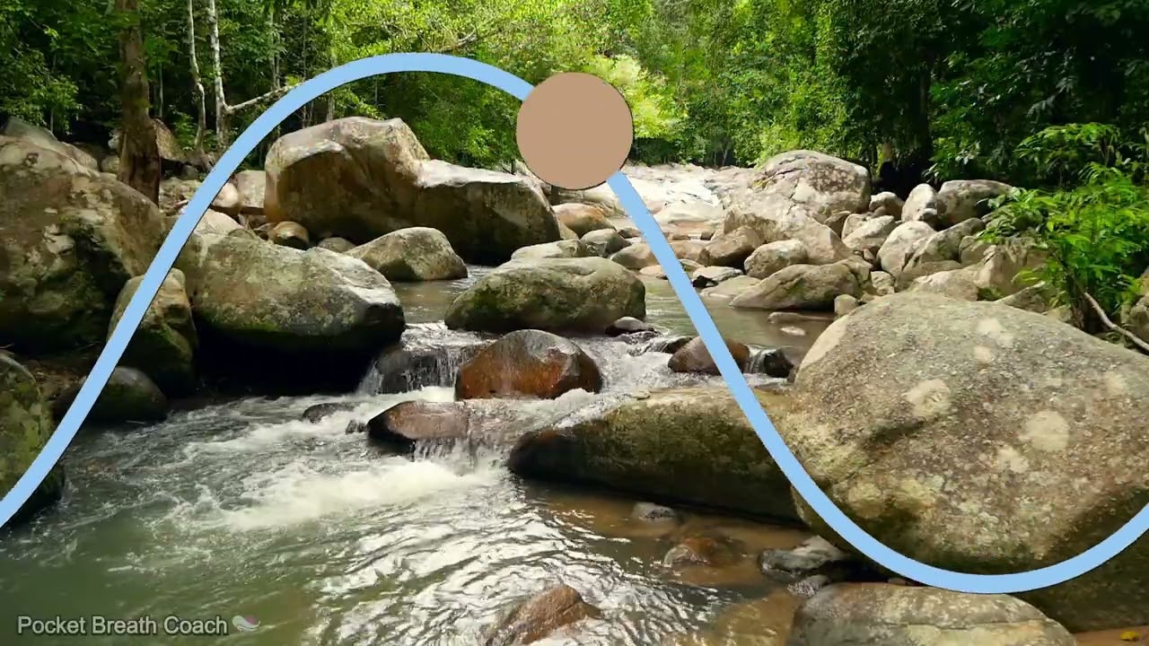 Guided Deep Breathing Meditation | Inhale 5.5 sec, Exhale 5.5 | Breathing for Calm & Balance