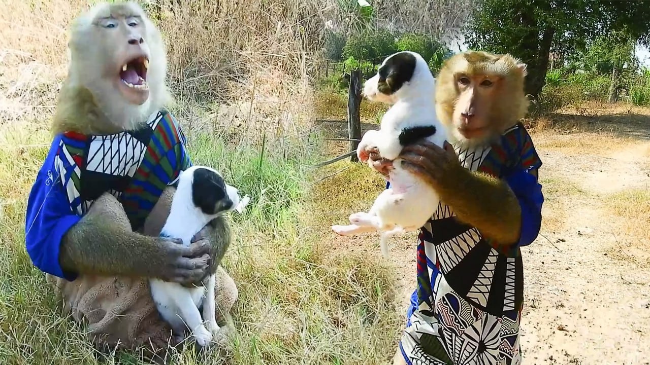 SokYaa Meets a Tiny Puppy and Can’t Hide His Excitement