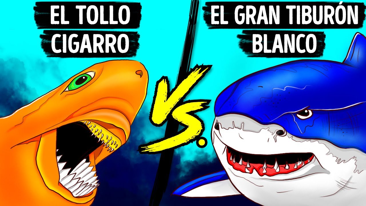 Un pequeño tiburón con mordedura aterradora, al que temen incluso los grandes tiburones blancos