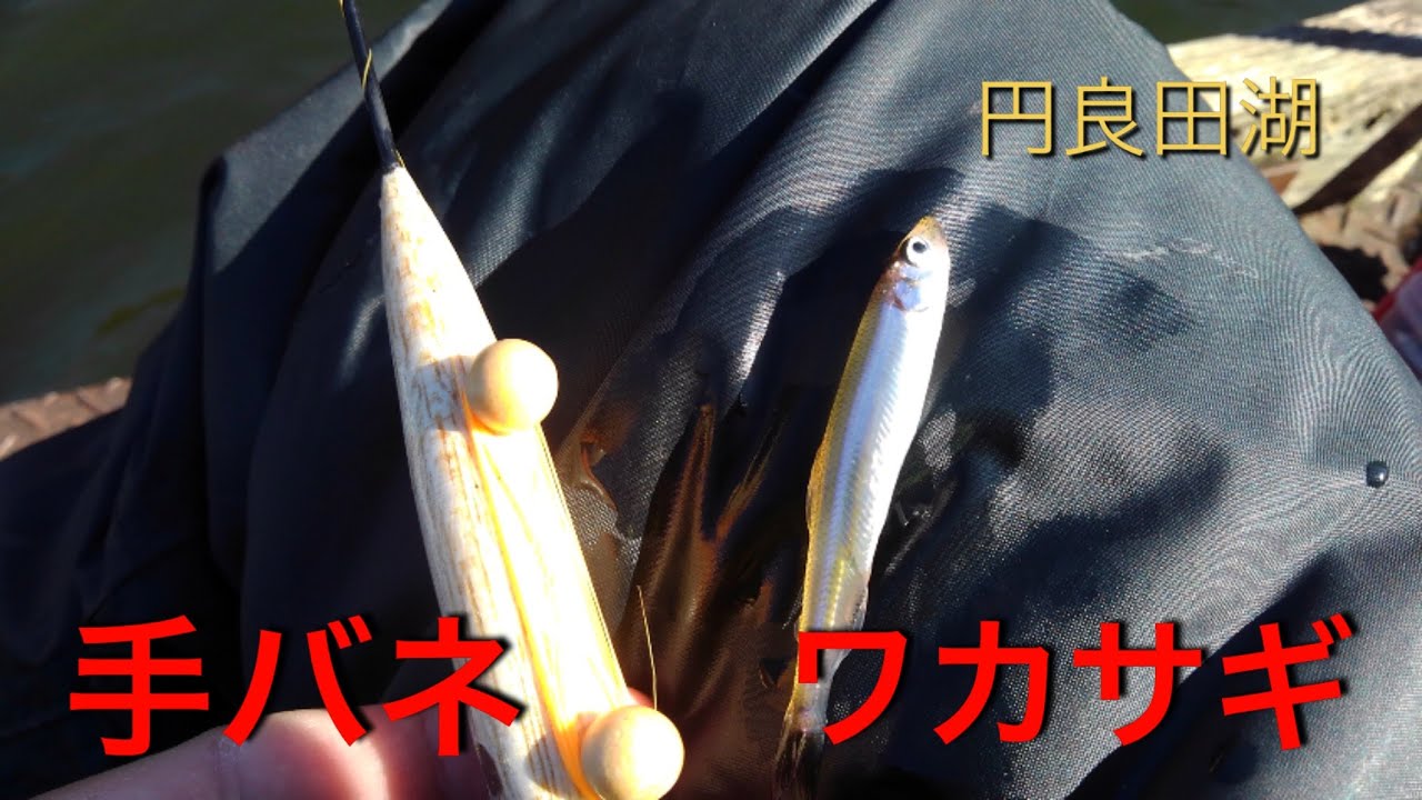 【円良田湖】わかさぎ 手バネ釣り！  2020/11/21