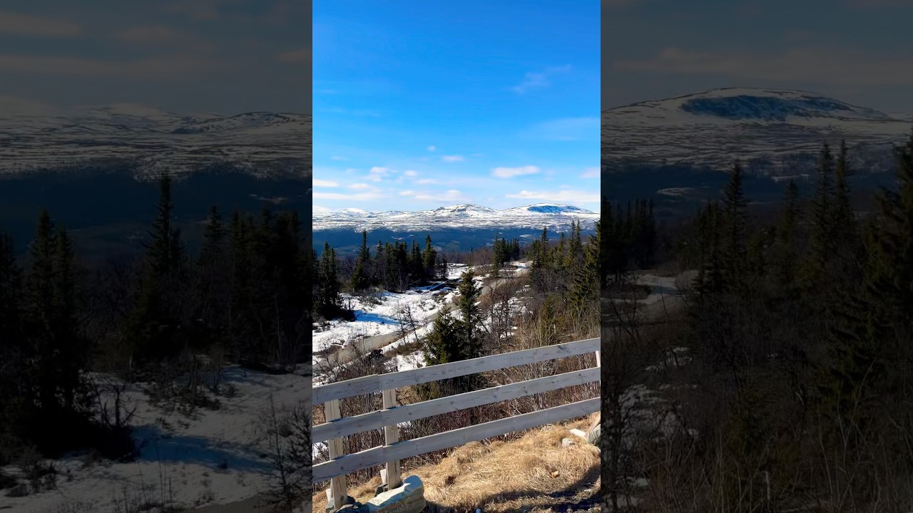 Fj&auml;llen😍🏔️⛷️The Swedish mountains at it&rsquo;s finest #shorts #trending #fj&auml;llen #viral #fyp #skiing