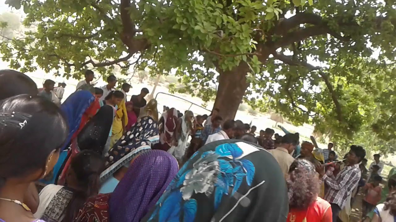 Rajasthan wagdi  geet