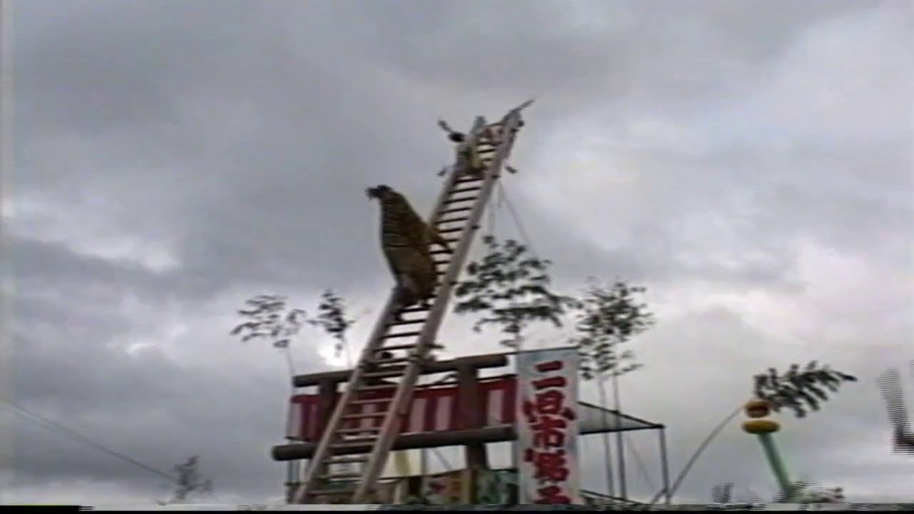陸前高田市気仙町　二日市祭り　梯子寅舞　（平成15年）