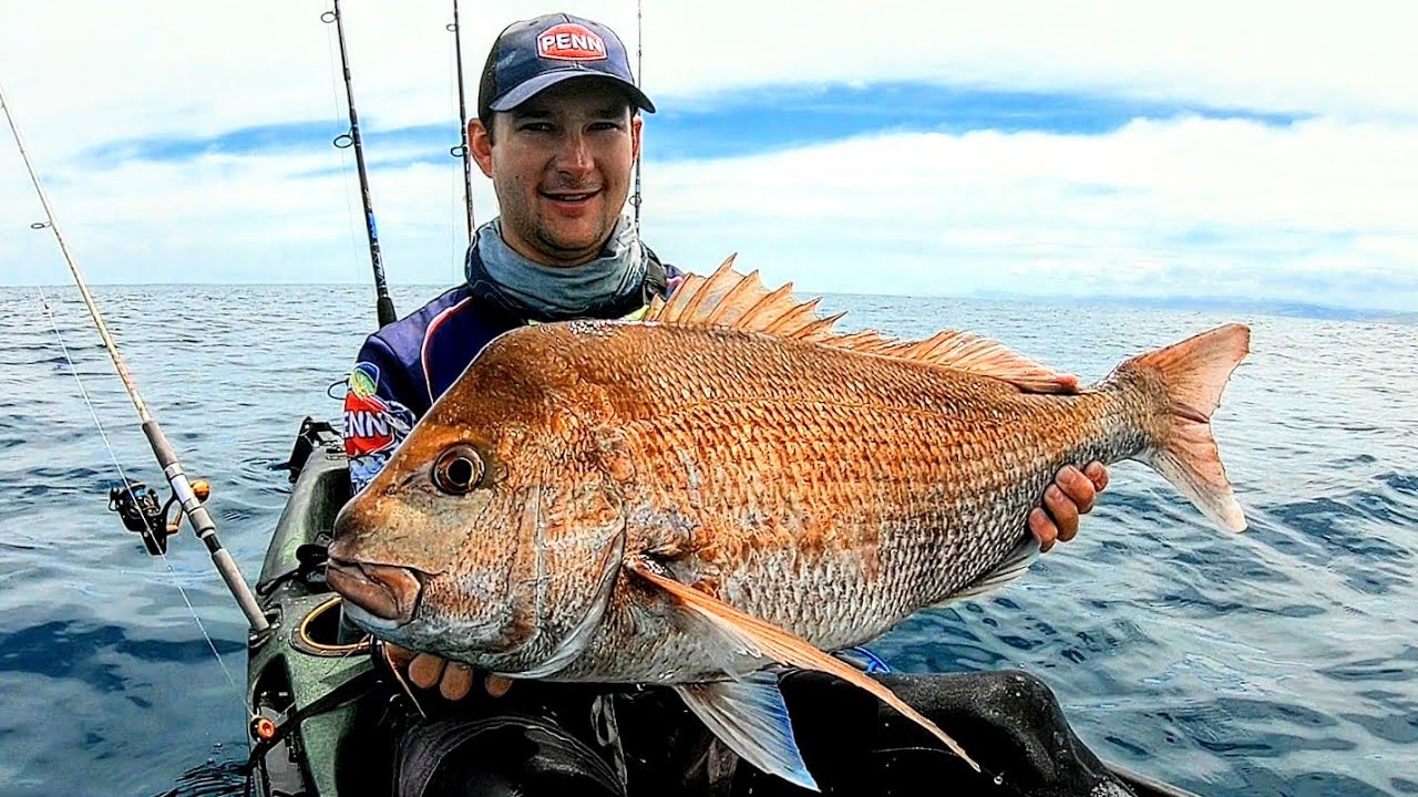 Рыбалка с каяка в Таранаки | Тунец, королевская рыба и большой люциан