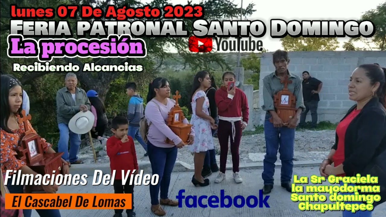 Santo Domingo Chapultepec Feria Patronal  Tepexi De Rodríguez