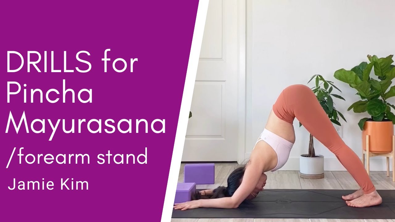 Pincha Mayurasana (Forearm Stand) Drills