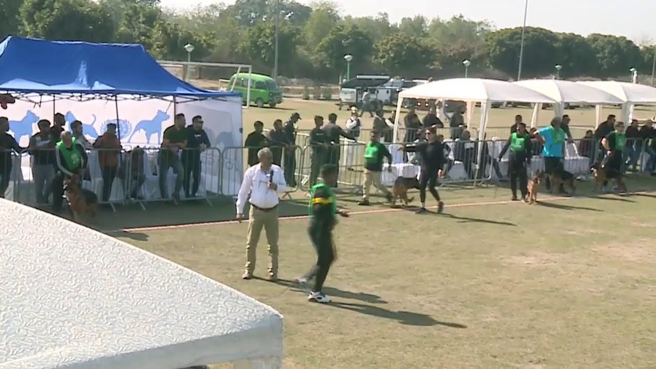 Muzafar Husain Memorial Sieger Show - 2023 (Day 1)