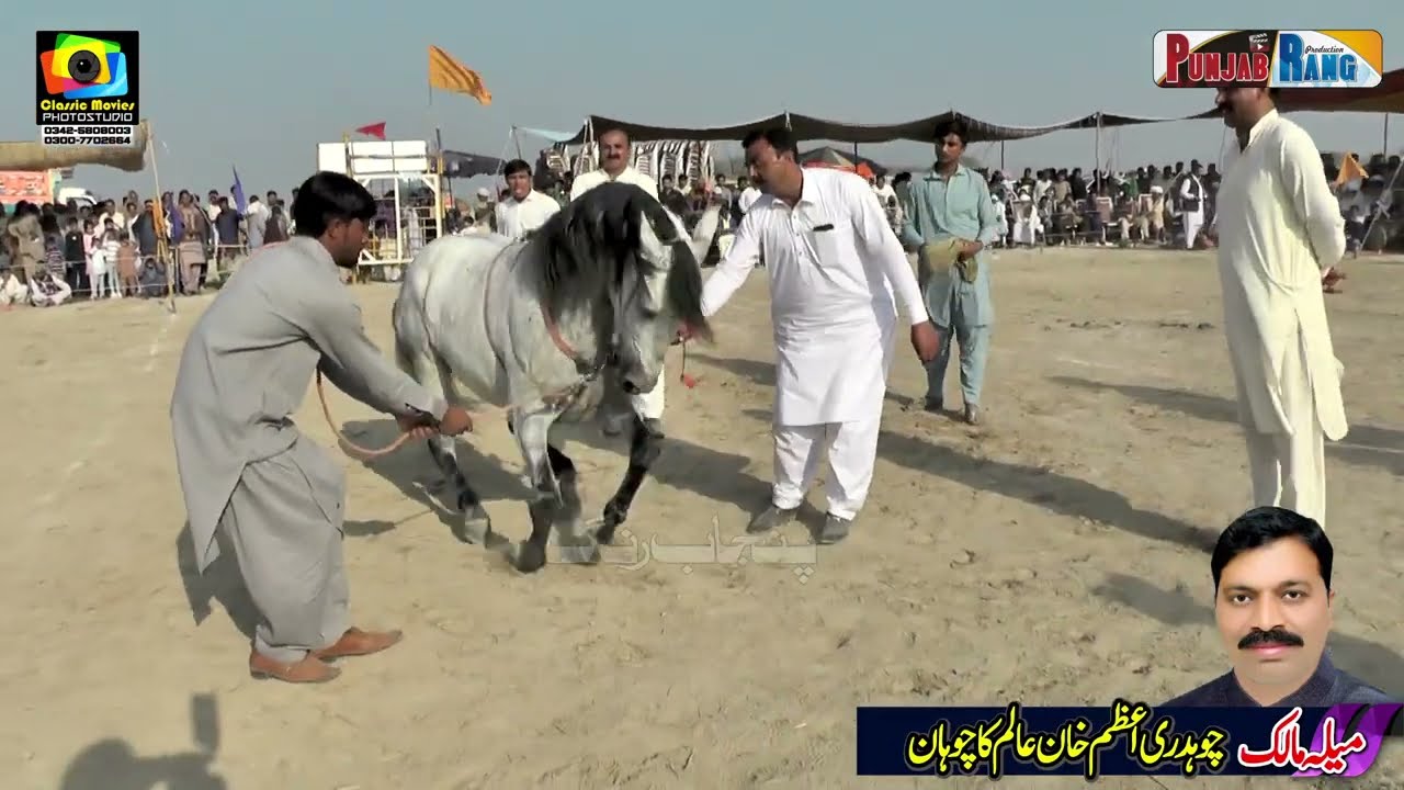 Fakhar e Chana ll Ch Sham ul Hassan Chadhar ll Horse Dance ll Darbar Baba Khera Khazana ll 2023