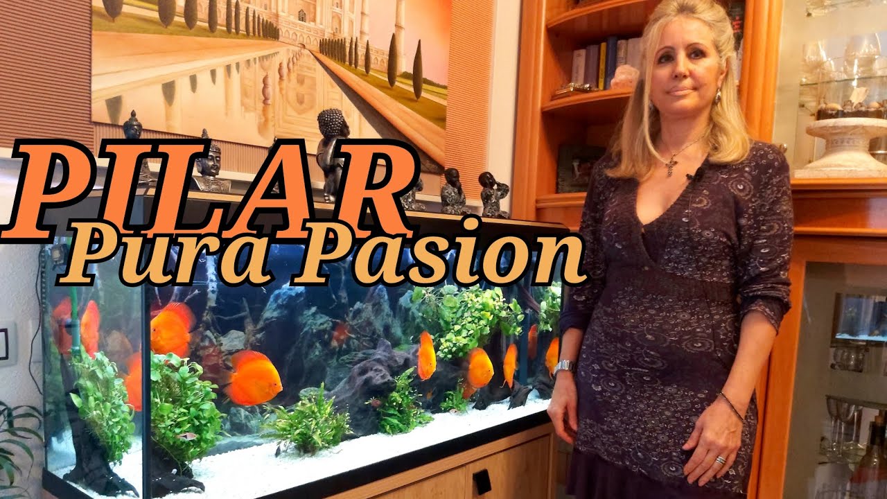 ACUARIO DISCOS RED MELON | Pilar Bornao